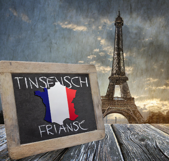 Décryptage des Risques d'Investissement en Bourse en France 